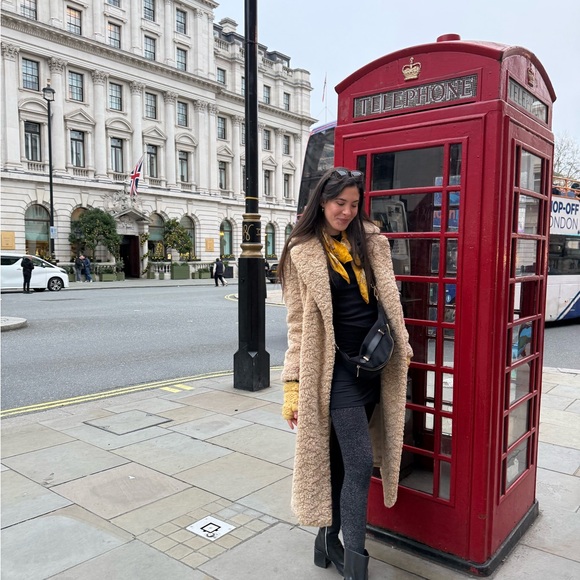 Zara Tan Teddy Coat - Picture 13 of 13